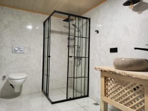 a bathroom with a shower and a toilet at Mariposa Bungalov in Ayder Yaylasi