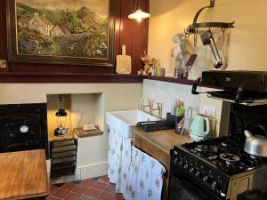 a kitchen with a sink and a stove top oven at Nantgwynfaen Organic Farm Wales in Llandysul