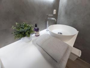 a bathroom with a sink and a bottle of soap and a plant at Sea & the City in Blankenberge