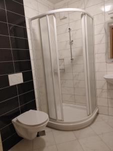 a bathroom with a shower and a toilet at Apartmaji Maki in Bled +6 photos