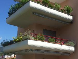 Sonnige 35 Zi-Ferienwohnung in Caslano في كاسلانو: شرفة مع نباتات على جانب المبنى