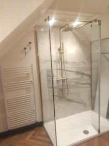een douche met een glazen deur in de badkamer bij Killeavy Cottage in Meigh