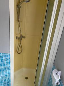 a shower with a glass door in a bathroom at Domek nad stawem 
