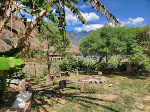 a garden with trees and a mountain in the background at The Hub - Centro Sakbe in San Juan La Laguna