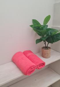 Φωτογραφία από το άλμπουμ του Le Clos de Canet σε Canet d'Aude