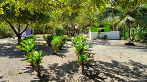 Aed väljaspool majutusasutust Eco-Camping El Frutal