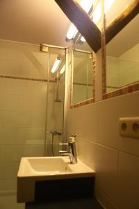 uma casa de banho com um lavatório, um chuveiro e um espelho. em Gite ferme XVIII 4 chambres /8 personnes Chimay em Momignies