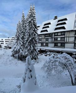 a group of trees covered in snow in front of a building at Apartments Konaci Kopaonik in Kopaonik