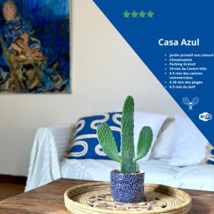 a cactus in a blue pot sitting on a table at CASA AZUL - jardin, calme, tennis in Nîmes