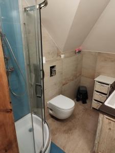 een badkamer met een toilet en een glazen douche bij Twój Azyl in Świdnik