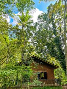 a small brick house in the middle of trees at Walawa Dreams Safari Resort in Udawalawe