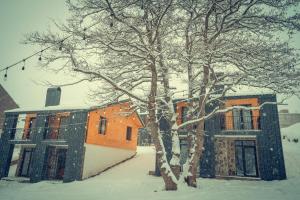 Villa In Didveli v zimě