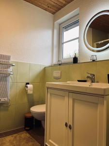 een badkamer met een wastafel, een toilet en een spiegel bij Brenner‘s Waldhaus in Hergersweiler