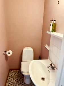 a small bathroom with a toilet and a sink at Casa Korallen in Varberg
