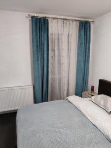 ブラショヴにあるAvangarden Apartmentのベッドルーム(ベッド1台、青いカーテン付)