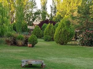 un jardín con un banco en el césped en Villa Bonita Cabañas y Suites en San Rafael