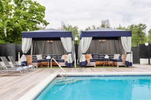 - une piscine bordée de chaises longues et de parasols dans l'établissement Sheraton Charlotte Hotel, à Charlotte