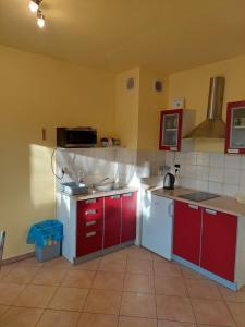 Kuchyňa alebo kuchynka v ubytovaní Apartament z Ogródkiem