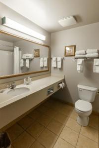 a bathroom with a toilet and a sink and a mirror at Country Inn & Suites by Radisson, El Dorado, AR in El Dorado