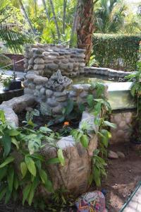 um jardim com uma parede de pedra e algumas plantas em Lush Garden House near beaches with private pool. em Puerto Escondido