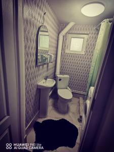 uma casa de banho com um WC, um lavatório e um espelho. em La cabana lu' Vasile em Fundu Moldovei