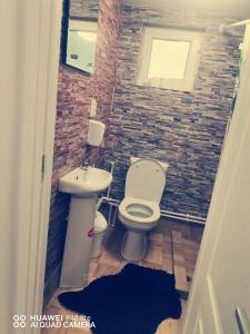 y baño con aseo, lavabo y pared de ladrillo. en La cabana lu' Vasile en Fundu Moldovei