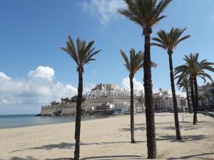 eine Gruppe von Palmen an einem Strand in der Unterkunft BONITAS VISTAS in Peñíscola