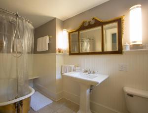 a bathroom with a sink and a shower and a toilet at Sweet Biscuit Inn in Asheville