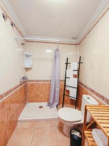 a bathroom with a toilet and a shower at Acogedor apartamento Besos de Elah in San Bartolomé