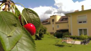 Zahrada ubytování Austria Classic Hotel Heiligkreuz