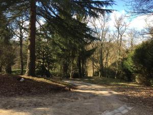 Galerija fotografija objekta Le Chalet de la Loire u gradu 'Saint-Martin-le-Beau'