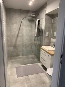 een badkamer met een douche, een toilet en een wastafel bij Apartament Cieplice in Jelenia Góra