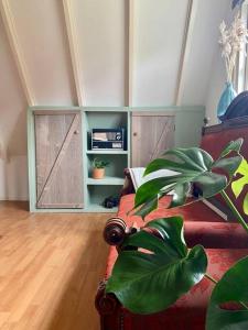 salon z kanapą i rośliną w obiekcie LooSan Lodges Gastenhuis w mieście Reutum