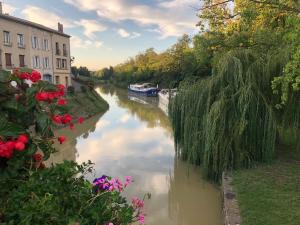 Rzeka z łodzią i kwiatami w obiekcie Le Petit Relais du Canal w mieście Trèbes