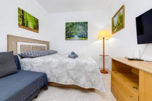 um quarto com uma cama e uma televisão de ecrã plano em Studio RELAX playa del Cura, Felix Rodriguez 3 em Torrevieja