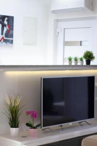 a large flat screen tv sitting on a table with potted plants at Apartman PAOLA in Vrh