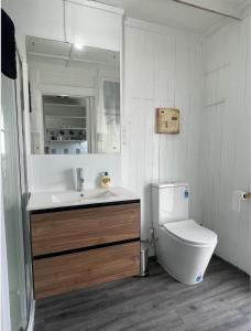 a white bathroom with a sink and a toilet at Beach Front Cottage Napier in Napier