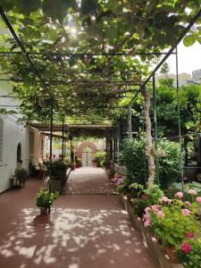 a garden with a walkway with flowers and plants at Villa dei fiori B&B in Capri