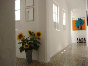 Fotografie z fotogalerie ubytování La Casa Grande v destinaci Arcos de la Frontera