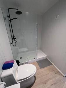 a white bathroom with a shower and a toilet at Cabaña Hermosa Maitencillo in Valparaíso