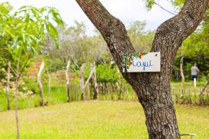 Chalé a 4km do Centro com Wi-Fi外面的花园
