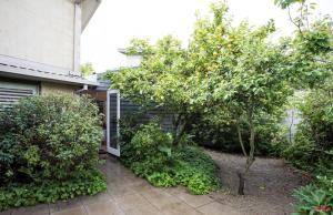 a garden with trees and bushes next to a house at MONREPOS in Point Lonsdale