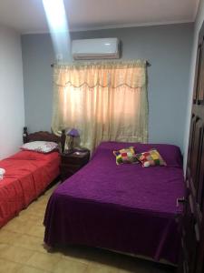 1 Schlafzimmer mit 2 Betten mit violetter Bettwäsche und einem Fenster in der Unterkunft Alojamiento Temporario “LG” in Presidencia Roque Sáenz Peña