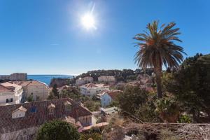 una palmera en una ciudad con el océano en el fondo en Villa Iveta, en Dubrovnik
