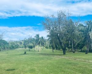 pole z palmami i zieloną trawą w obiekcie Sunrise Hotel w mieście Corn Islands