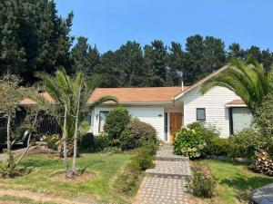 una casa con una palmera en el patio en Acogedora casa en Pingueral, en Concepción