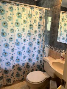 y baño con aseo y cortina de ducha. en Acogedora casa en Pingueral, en Concepción
