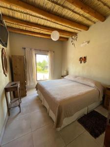 Un dormitorio con una cama grande y una ventana en Tierra Primitiva en Tilcara
