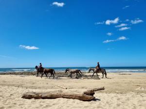 Fotografie z fotogalerie ubytování Mediterraneo Avellanas v destinaci Tamarindo