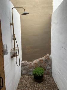Fotografie z fotogalerie ubytování Nomada Glamping & Aguas Termales - San Miguel de Allende X NANTLI LIVING v destinaci San Miguel de Allende